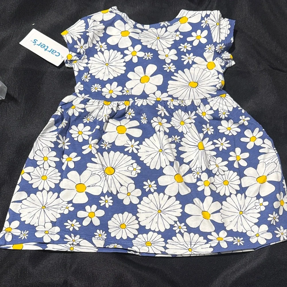 Carter's Blue and White Floral Diaper Cover Set